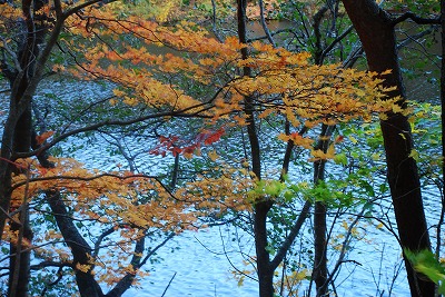 e0219011_132449.jpg