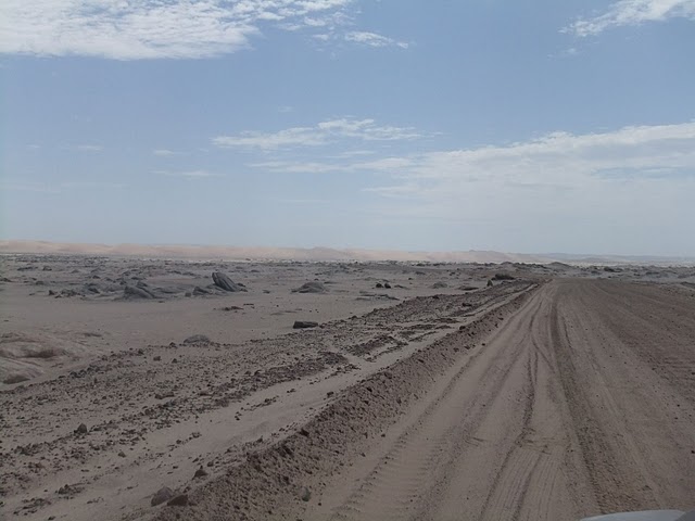 d0007913_018159.jpg