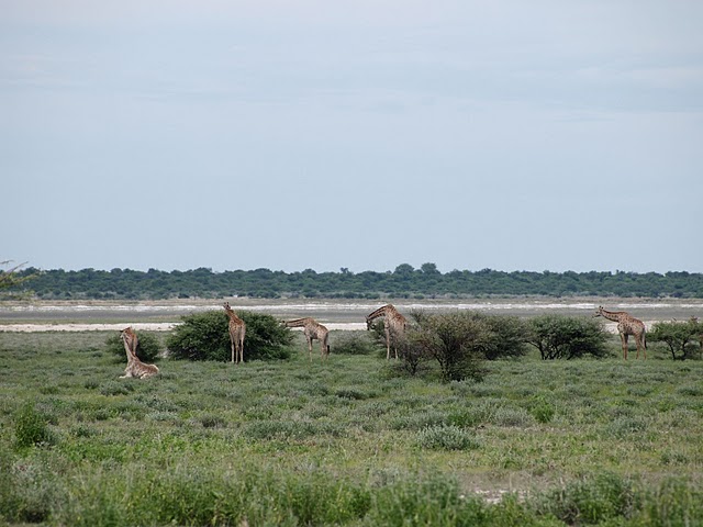 d0007913_019474.jpg