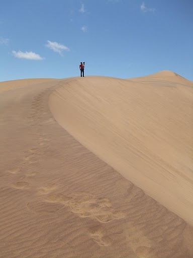 d0007913_02142.jpg