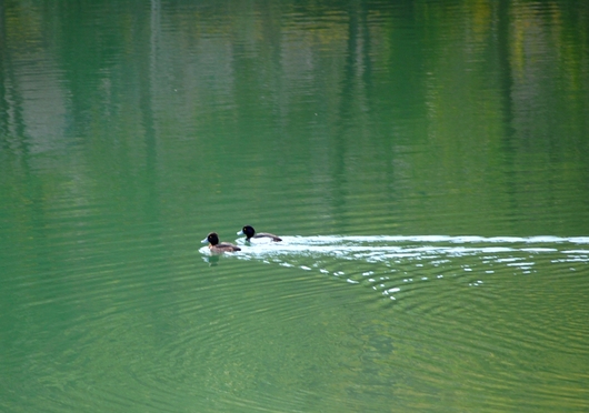 b0209919_23543235.jpg