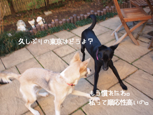 c0012120_23294650.jpg
