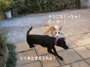 c0012120_23295175.jpg