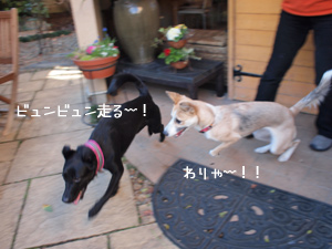 c0012120_2329555.jpg