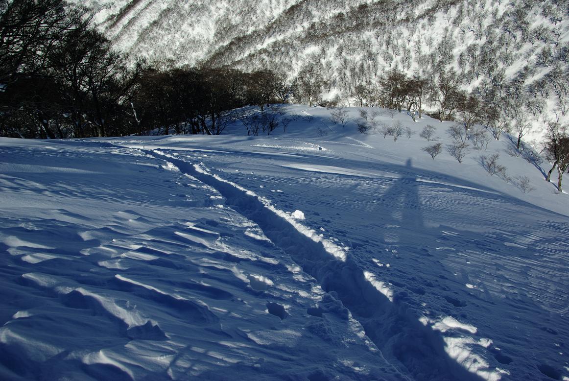 b0062024_232218.jpg