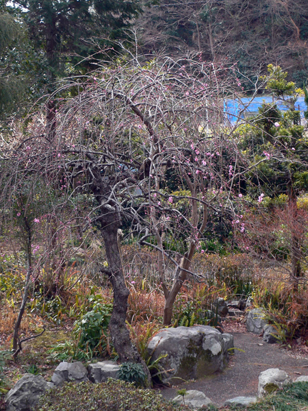f0060424_1331775.jpg