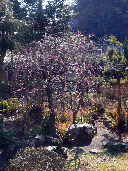 f0060424_13324595.jpg