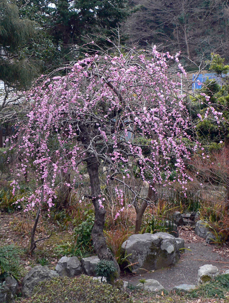 f0060424_13331497.jpg