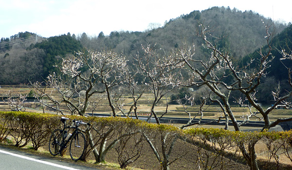 e0089826_20583389.jpg