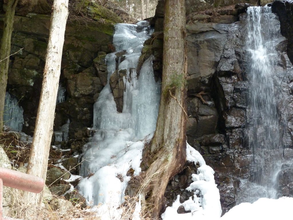 e0033229_215881.jpg