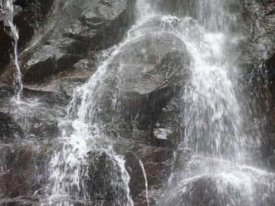 e0033229_2222949.gif