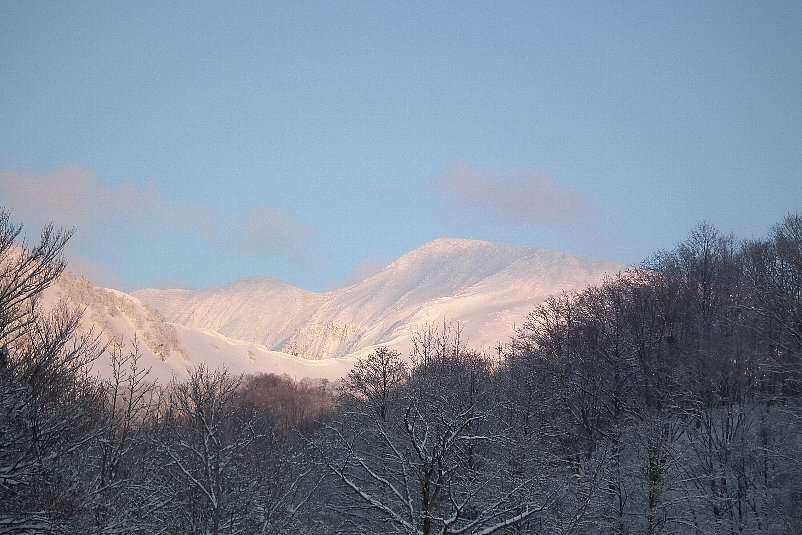 f0118332_0195565.jpg