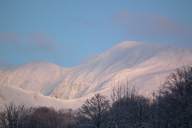 f0118332_020570.jpg