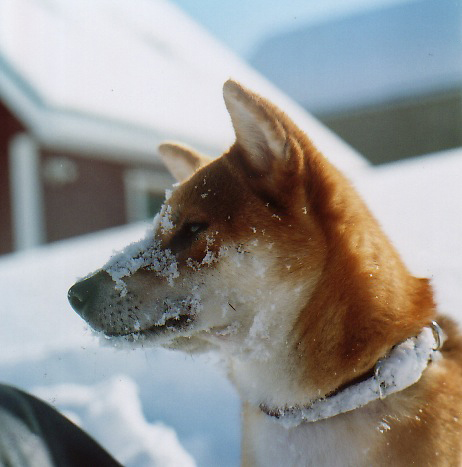 f0236733_0455085.jpg