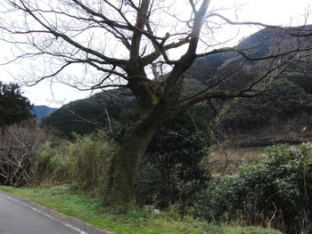 c0183137_23513049.jpg