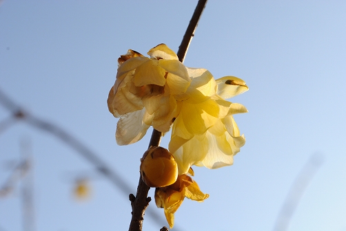 a0048040_21143158.jpg