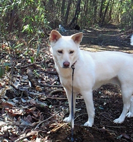 f0195543_04481.jpg