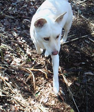 f0195543_053588.jpg