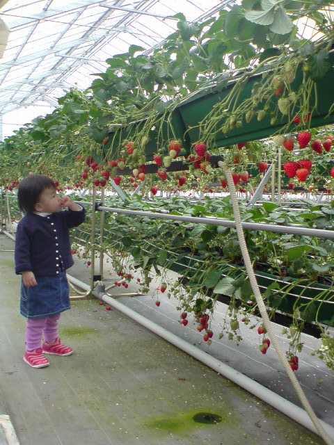 d0078644_2151846.jpg
