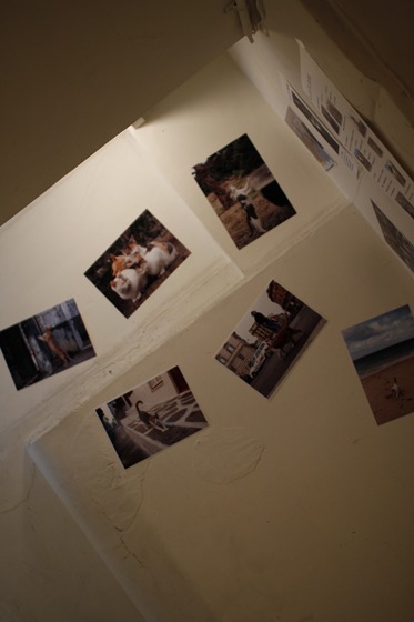 c0214345_817278.jpg