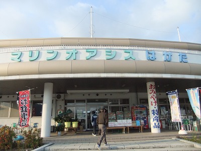e0173645_9565863.jpg