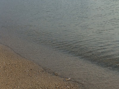 e0173645_9574871.jpg