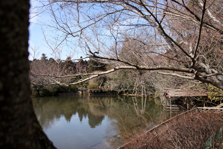 b0148547_14144278.jpg