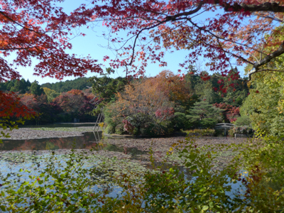 b0148547_1415360.jpg
