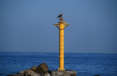 e0184251_9521545.jpg