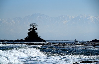 e0184251_952414.jpg