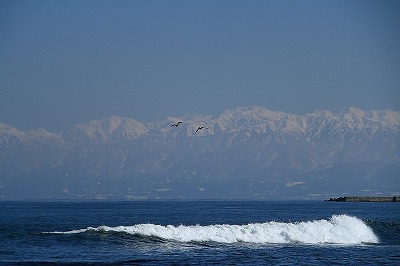 e0184251_9524816.jpg