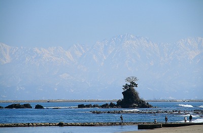 e0184251_953593.jpg