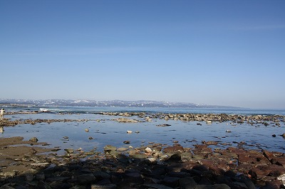 e0184251_9553819.jpg