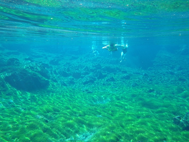 b0173754_7502314.jpg