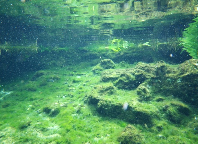 b0173754_7505553.jpg