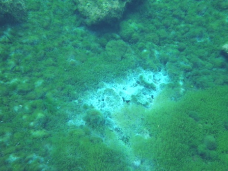 b0173754_7535637.jpg