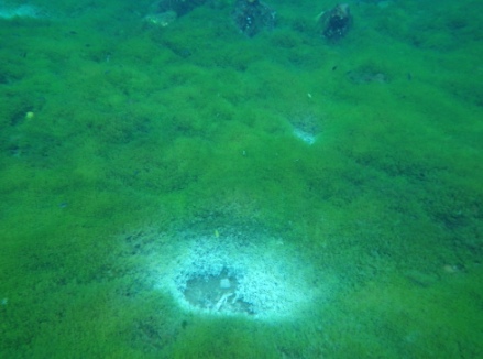 b0173754_7543144.jpg