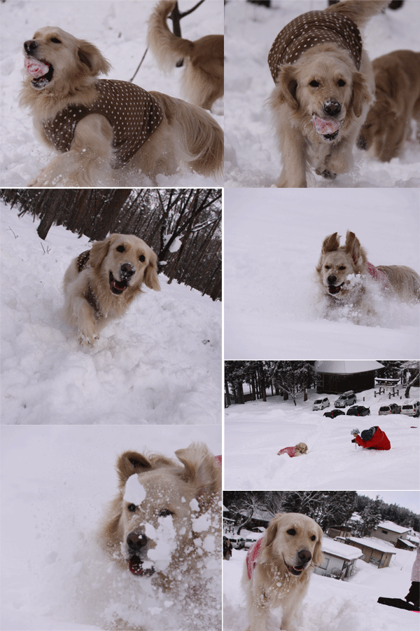 e0149256_12563927.gif