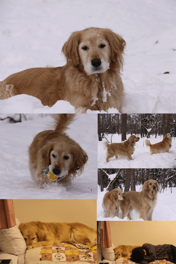e0149256_1256719.gif