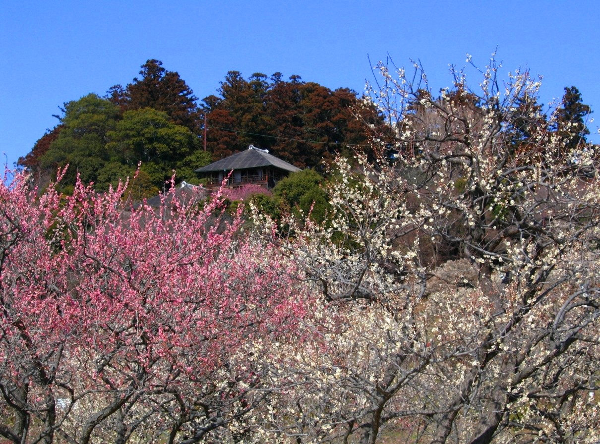 c0119160_9403881.jpg