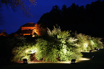 c0119160_941115.jpg