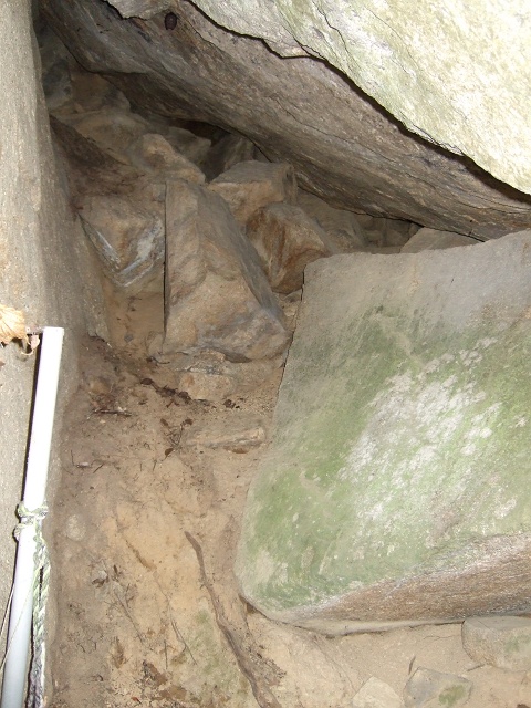 b0095061_121147.jpg