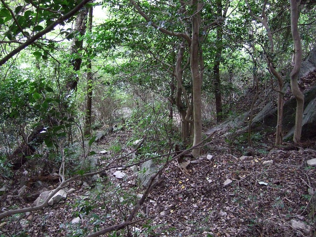 b0095061_12132370.jpg