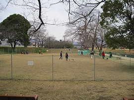 e0002466_17585391.jpg