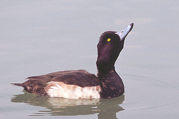e0000968_14112524.jpg