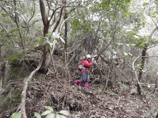 c0042869_2134794.jpg