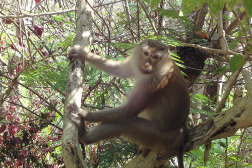 d0149980_12221590.jpg