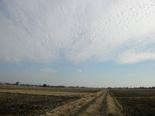 c0029190_19263090.jpg