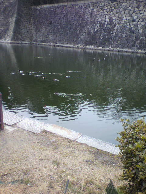 e0109292_1833299.jpg