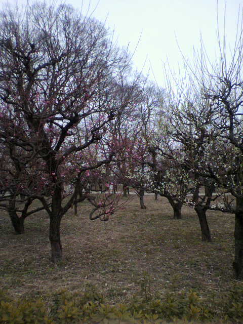 e0109292_1833485.jpg